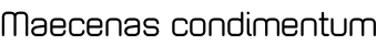 Maecenas condimentum