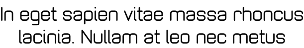 In eget sapien vitae massa rhoncus lacinia. Nullam at leo nec metus